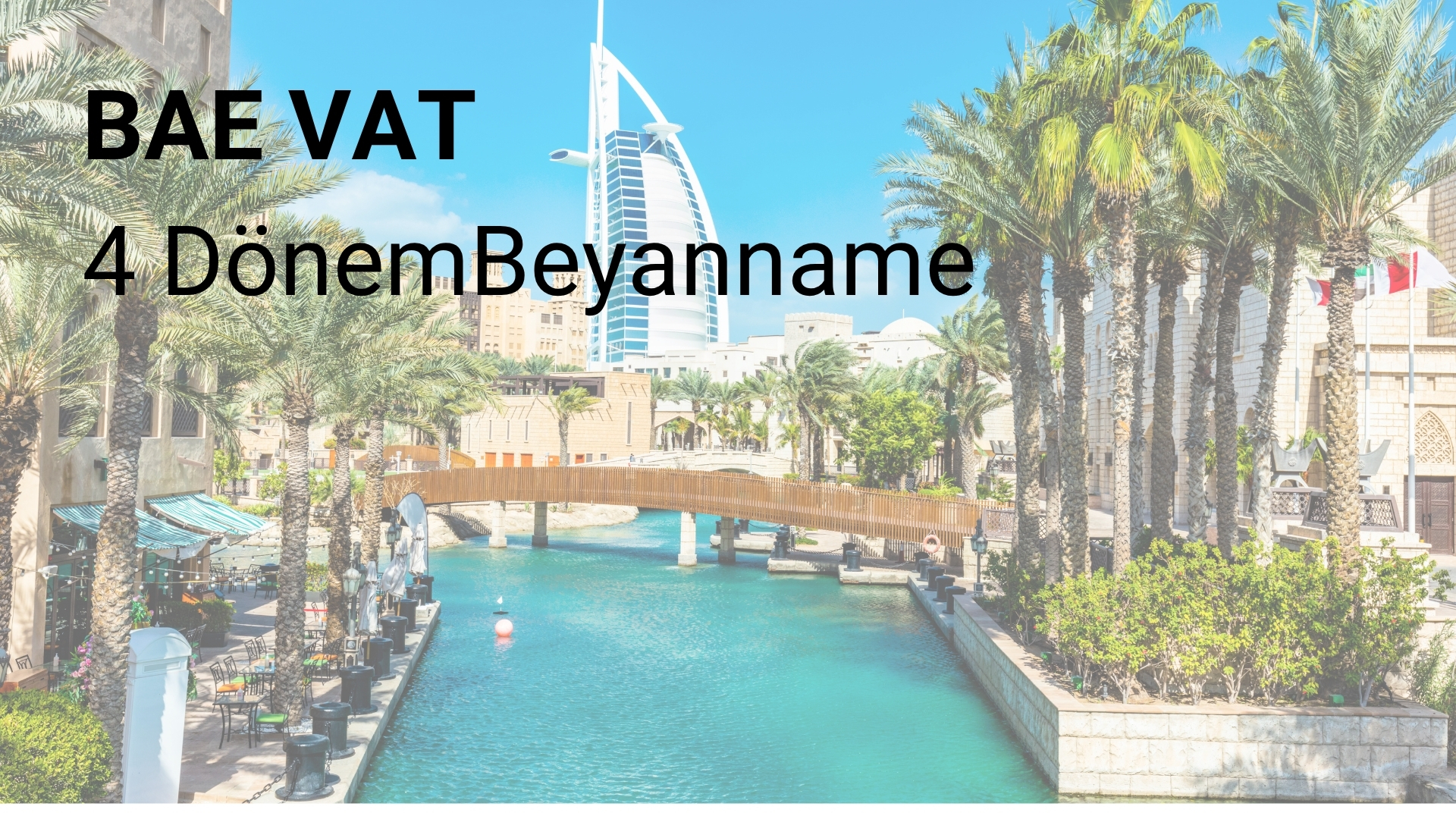 BAE VAT Beyanname Uygulama Hizmeti